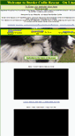 Mobile Screenshot of bordercollierescue.org