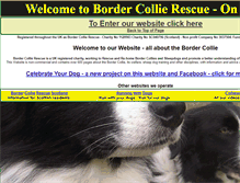 Tablet Screenshot of bordercollierescue.org